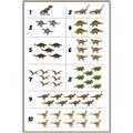 Picture of Dino Number Chart I _GroupedProduct_Rectangle_Portrait_Canvas_Framed_