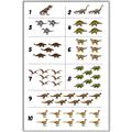 Picture of Dino Number Chart I _GroupedProduct_Rectangle_Portrait_Canvas_Framed_