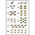 Picture of Dino Number Chart I _GroupedProduct_Rectangle_Portrait_Canvas_Framed_