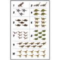 Picture of Dino Number Chart I _GroupedProduct_Rectangle_Portrait_Canvas_Framed_