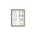 Picture of Dino Number Chart II  _GroupedProduct_Rectangle_Portrait_Canvas_Framed_