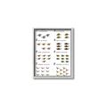 Picture of Dino Number Chart II  _GroupedProduct_Rectangle_Portrait_Canvas_Framed_