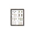 Picture of Dino Number Chart II  _GroupedProduct_Rectangle_Portrait_Canvas_Framed_