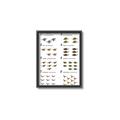 Picture of Dino Number Chart II  _GroupedProduct_Rectangle_Portrait_Canvas_Framed_