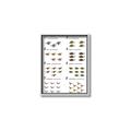 Picture of Dino Number Chart II  _GroupedProduct_Rectangle_Portrait_Canvas_Framed_