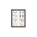 Picture of Dino Number Chart II  _GroupedProduct_Rectangle_Portrait_Canvas_Framed_