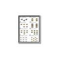 Picture of Dino Number Chart II  _GroupedProduct_Rectangle_Portrait_Canvas_Framed_