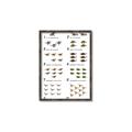 Picture of Dino Number Chart II  _GroupedProduct_Rectangle_Portrait_Canvas_Framed_
