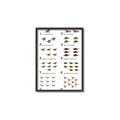 Picture of Dino Number Chart II  _GroupedProduct_Rectangle_Portrait_Canvas_Framed_