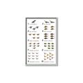 Picture of Dino Number Chart II  _GroupedProduct_Rectangle_Portrait_Canvas_Framed_