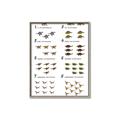 Picture of Dino Number Chart II  _GroupedProduct_Rectangle_Portrait_Canvas_Framed_