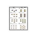Picture of Dino Number Chart II  _GroupedProduct_Rectangle_Portrait_Canvas_Framed_