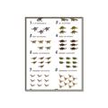 Picture of Dino Number Chart II  _GroupedProduct_Rectangle_Portrait_Canvas_Framed_