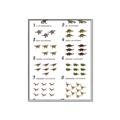 Picture of Dino Number Chart II  _GroupedProduct_Rectangle_Portrait_Canvas_Framed_