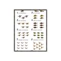 Picture of Dino Number Chart II  _GroupedProduct_Rectangle_Portrait_Canvas_Framed_