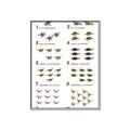 Picture of Dino Number Chart II  _GroupedProduct_Rectangle_Portrait_Canvas_Framed_