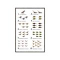 Picture of Dino Number Chart II  _GroupedProduct_Rectangle_Portrait_Canvas_Framed_