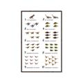 Picture of Dino Number Chart II  _GroupedProduct_Rectangle_Portrait_Canvas_Framed_