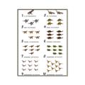 Picture of Dino Number Chart II  _GroupedProduct_Rectangle_Portrait_Canvas_Framed_