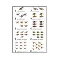 Picture of Dino Number Chart II  _GroupedProduct_Rectangle_Portrait_Canvas_Framed_