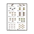 Picture of Dino Number Chart II  _GroupedProduct_Rectangle_Portrait_Canvas_Framed_