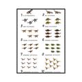 Picture of Dino Number Chart II  _GroupedProduct_Rectangle_Portrait_Canvas_Framed_