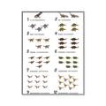 Picture of Dino Number Chart II  _GroupedProduct_Rectangle_Portrait_Canvas_Framed_