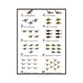 Picture of Dino Number Chart II  _GroupedProduct_Rectangle_Portrait_Canvas_Framed_