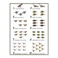 Picture of Dino Number Chart II  _GroupedProduct_Rectangle_Portrait_Canvas_Framed_