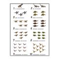 Picture of Dino Number Chart II  _GroupedProduct_Rectangle_Portrait_Canvas_Framed_