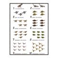 Picture of Dino Number Chart II  _GroupedProduct_Rectangle_Portrait_Canvas_Framed_