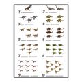 Picture of Dino Number Chart II  _GroupedProduct_Rectangle_Portrait_Canvas_Framed_