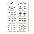 Picture of Dino Number Chart II  _GroupedProduct_Rectangle_Portrait_Canvas_Framed_