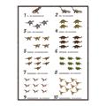 Picture of Dino Number Chart II  _GroupedProduct_Rectangle_Portrait_Canvas_Framed_