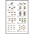 Picture of Dino Number Chart II  _GroupedProduct_Rectangle_Portrait_Canvas_Framed_