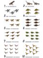Picture of Dino Number Chart II  _GroupedProduct_Rectangle_Portrait_Unframed_Print_Only_