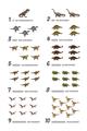 Picture of Dino Number Chart II  _GroupedProduct_Rectangle_Portrait_Unframed_Print_Only_