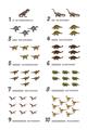 Picture of Dino Number Chart II  _GroupedProduct_Rectangle_Portrait_Unframed_Print_Only_