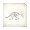 Picture of Learning Triceratops _GroupedProduct_Square_Unframed_Print_Only_