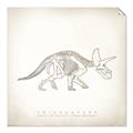 Picture of Learning Triceratops _GroupedProduct_Square_Unframed_Print_Only_