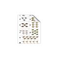 Picture of Dino Number Chart I _GroupedProduct_Rectangle_Portrait_Unframed_Print_Only_