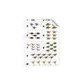 Picture of Dino Number Chart I _GroupedProduct_Rectangle_Portrait_Unframed_Print_Only_