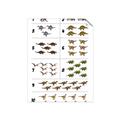Picture of Dino Number Chart I _GroupedProduct_Rectangle_Portrait_Unframed_Print_Only_