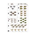 Picture of Dino Number Chart I _GroupedProduct_Rectangle_Portrait_Unframed_Print_Only_