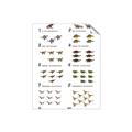 Picture of Dino Number Chart II  _GroupedProduct_Rectangle_Portrait_Unframed_Print_Only_