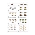 Picture of Dino Number Chart II  _GroupedProduct_Rectangle_Portrait_Unframed_Print_Only_