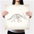 Picture of Learning Triceratops _GroupedProduct_Square_Canvas_