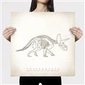 Picture of Learning Triceratops _GroupedProduct_Square_Canvas_