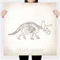 Picture of Learning Triceratops _GroupedProduct_Square_Canvas_