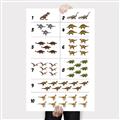Picture of Dino Number Chart I _GroupedProduct_Rectangle_Portrait_Canvas_